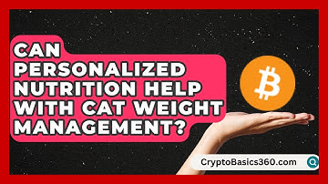 Can Personalized Nutrition Help With Cat Weight Management? | Happy Cat Handbook