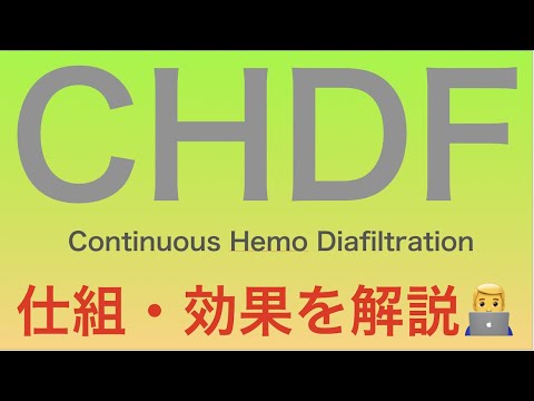 CHDFについて🤖