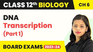 Transcription Class 12 Molecular Basis of Inheritance | Class 12 Biology Ch - Transcription 2022-23