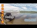 Рыбалка на Оке. Фидер.  Июнь 2015г.