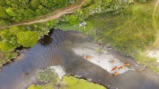 El Dao - Calbuco - X Region Chile