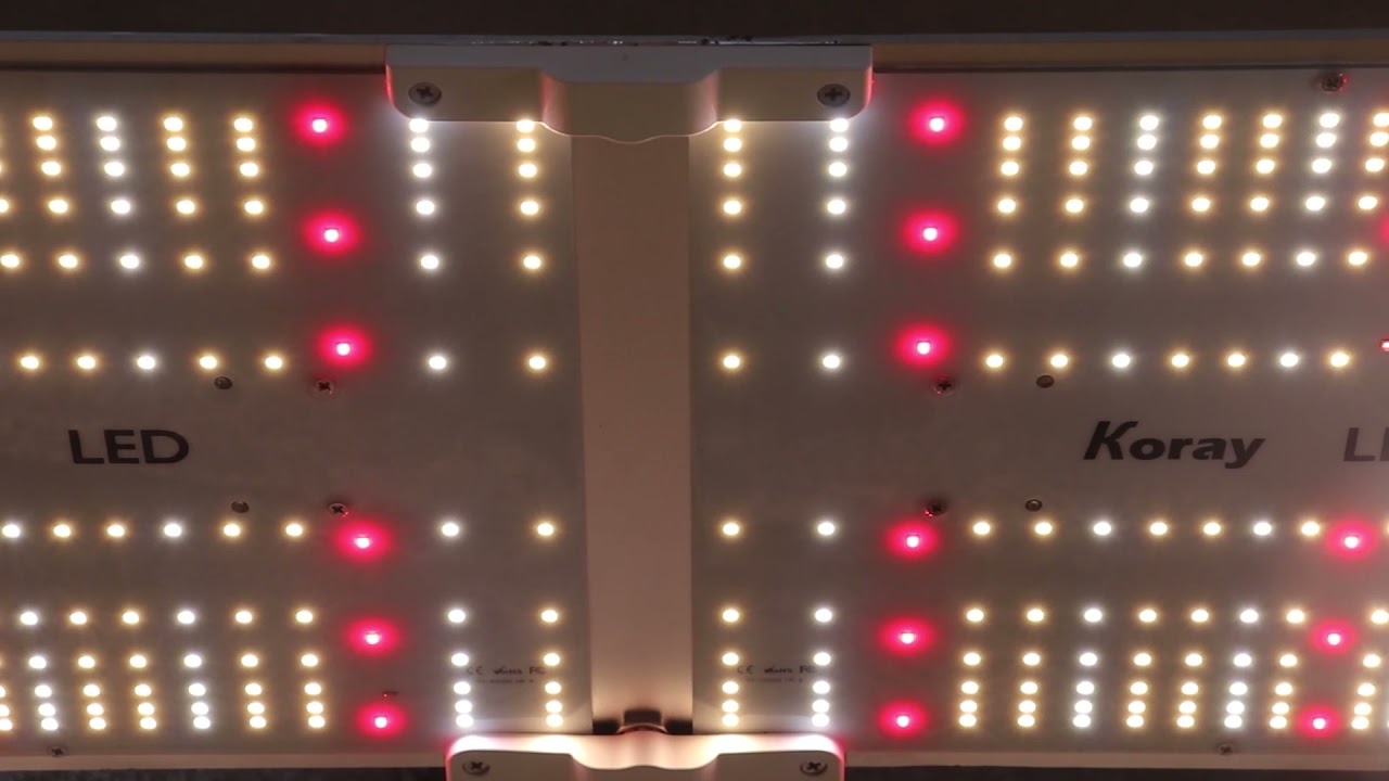 Koray High Uniformity Light G2000 UR Series Samsung LED Grow Light With Dimmer Knob