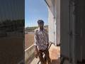 કબૂતર જાળી નો સહકાર મળ્યો અમદાવાદ થી