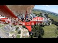 Let’s fly 3 classic Piper Cubs