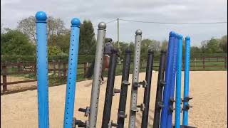 Handsome Bay Gelding - ad ref: 263568 video 2