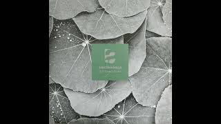 Technasia - Evergreen III 432 Hz