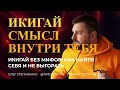 Самоподдержка и икигай - тихий способ вернуть смысл