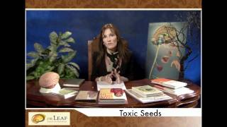 Dr. Leaf | Toxic Seeds