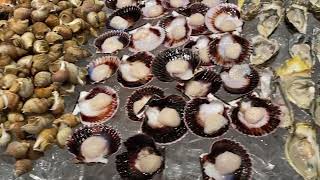 Tomi Sushi and Seafood Buffet_Sushi & Seafood