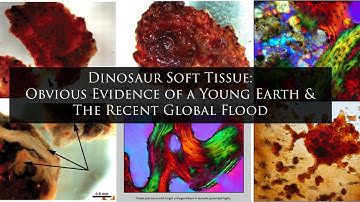 Dinosaur Soft Tissue