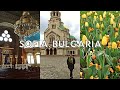 VLOG #3 | My hostel in Sofia, Bulgaria | Online teacher travelling | Like Home Guest Rooms