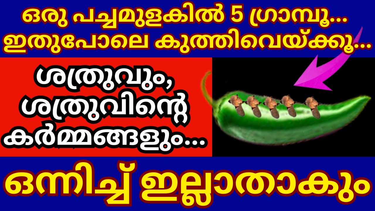 ഒരു പച്ചമുളകിൽ 5 ഗ്രാമ്പൂ ഇതുപോലെ കുത്തിവെയ്ക്കൂ. ശത്രുവും ശത്രുവിന്റെ കർമ്മങ്ങളും ഇല്ലാതാകും #viral