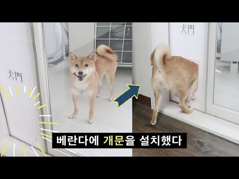 따뜻한 겨울을 위한 강아지 펫도어 | 시바견 니케 ( shibainu / 柴犬 )