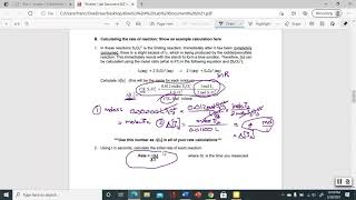 Kinetics 1 Processing the Data