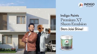 Aliens At Dhonis Doorstep Indigo Paints Premium Xt Sheen Emulsion