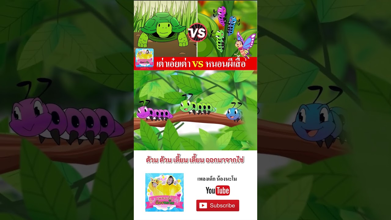 เพลง  เต่า vs หนอน