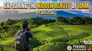 Exploring the hidden beauty of Ilam (Panitar) | Pokhrel Backpacker 