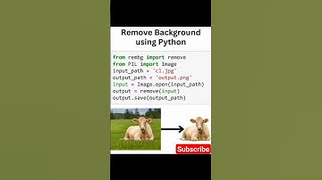remove background from picture using python | python projects #python #pythonprojectforbeginners