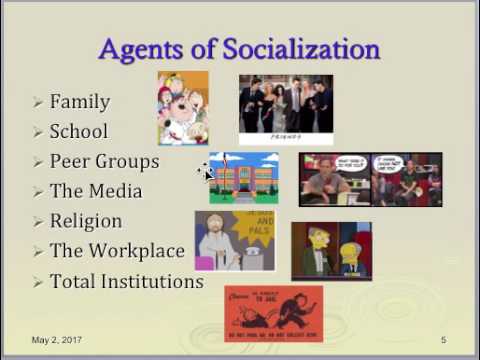 Socialization Lecture - YouTube