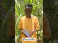 MAPENZI YANAUMIZA BORA NIFE TU ILA NINI NAJUA HUNIPENDI ILA UWE UNAJIBU MESEJI ZANGU 