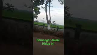 Nikmati Perjalanan Didesa #musikvlog #hiburan #motivasidiri #shorts #beranda #didesa #viralvideo