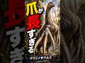 【爪が長すぎる】最強っぽいのに草食系?テリジノサウルスの意外な正体 #絶滅動物 #古代生物 #雑学