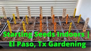 How to Start Seeds Indoors El Paso Gardening