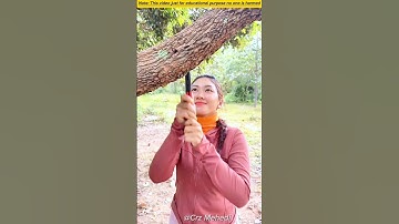 The Tree’s Splinter Hit My Eye While Cutting Wood in the Forest #shorts #trending #funny #trending