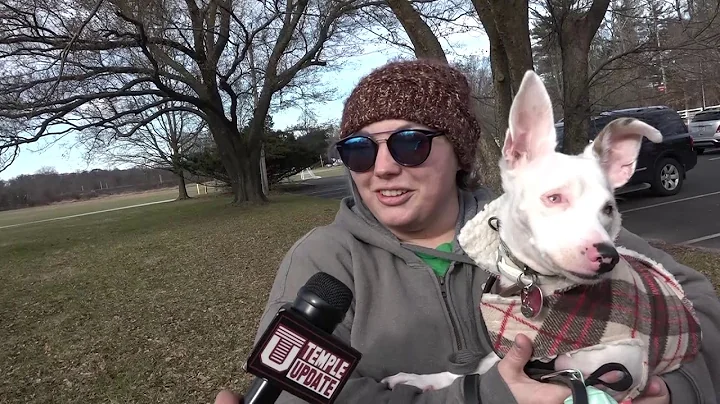 Ambler Bark Walk