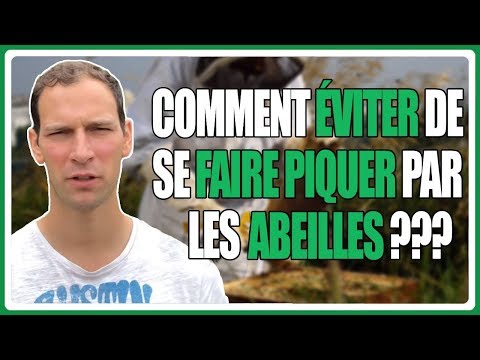 Vidéo: Comment retourner KBM sous OSAGO : instructions étape par étape