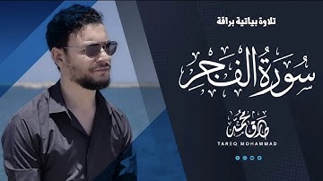 بالبيات العراقي - سورة الفجر | تلاوة رائعة بصوت القارئ طارق محمد