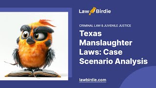 Texas Manslaughter Laws: Case Scenario Analysis - Essay Example