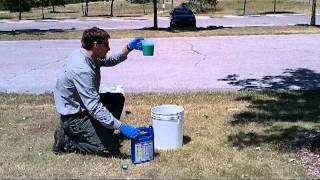 Protecting Your Tree from the Emerald Ash Borer