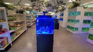 Cedar Pet Supply Pet Store Saint George