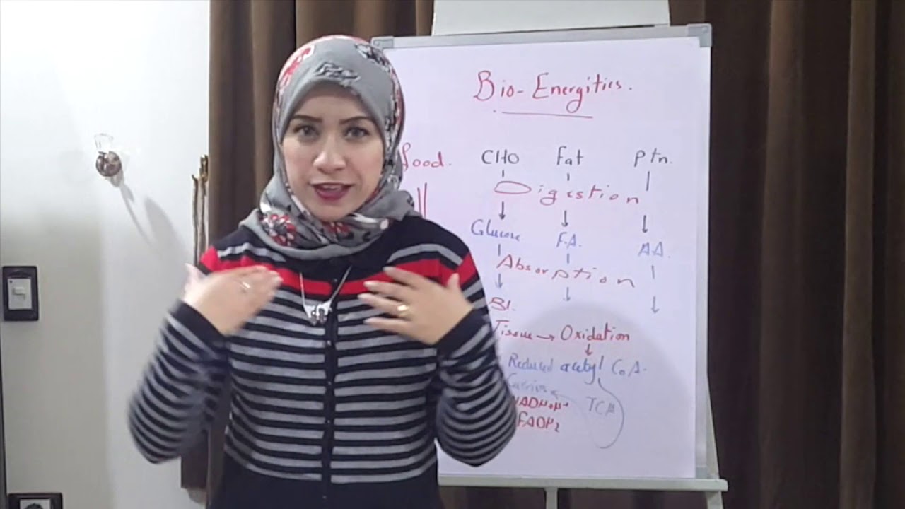 (BIOENERGITICS Session 1)Bio Energetics