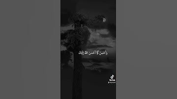 سعود الشريم - سورة القصص