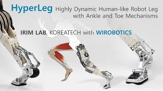 Introducing HyperLeg: Humanlike Robot Leg and Foot for Highly Dynamic Motions