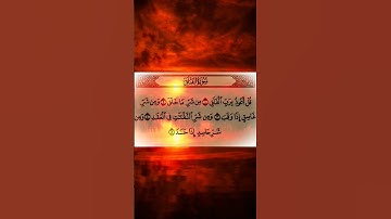 القران الكريم راحت البال والنفس والروح والقلب #اكسبلور #دويتو #duet #القرآن_الكريم #لايك #راحة_نفسية