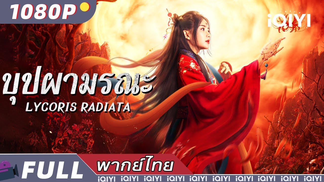 พากย์ไทย | 🌹บุปผามรณะ Lycoris Radiata💖 | ความรัก ดราม่า แต่งกายย้อนยุค | iQIYI Movie Thai