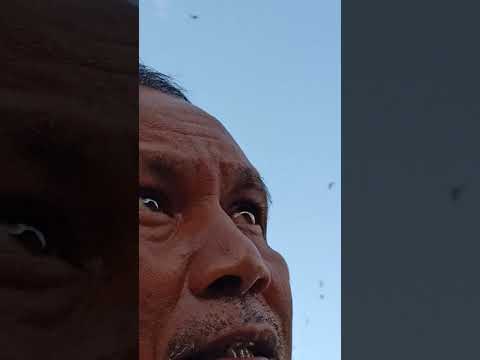 tes-kelayakan-kandang-walet-pertama-dimulai,pengambilan-video-hari-ke-ii