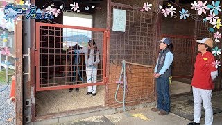 【馬ともっと仲良くなれる！】グラウンドワーク講習レポート