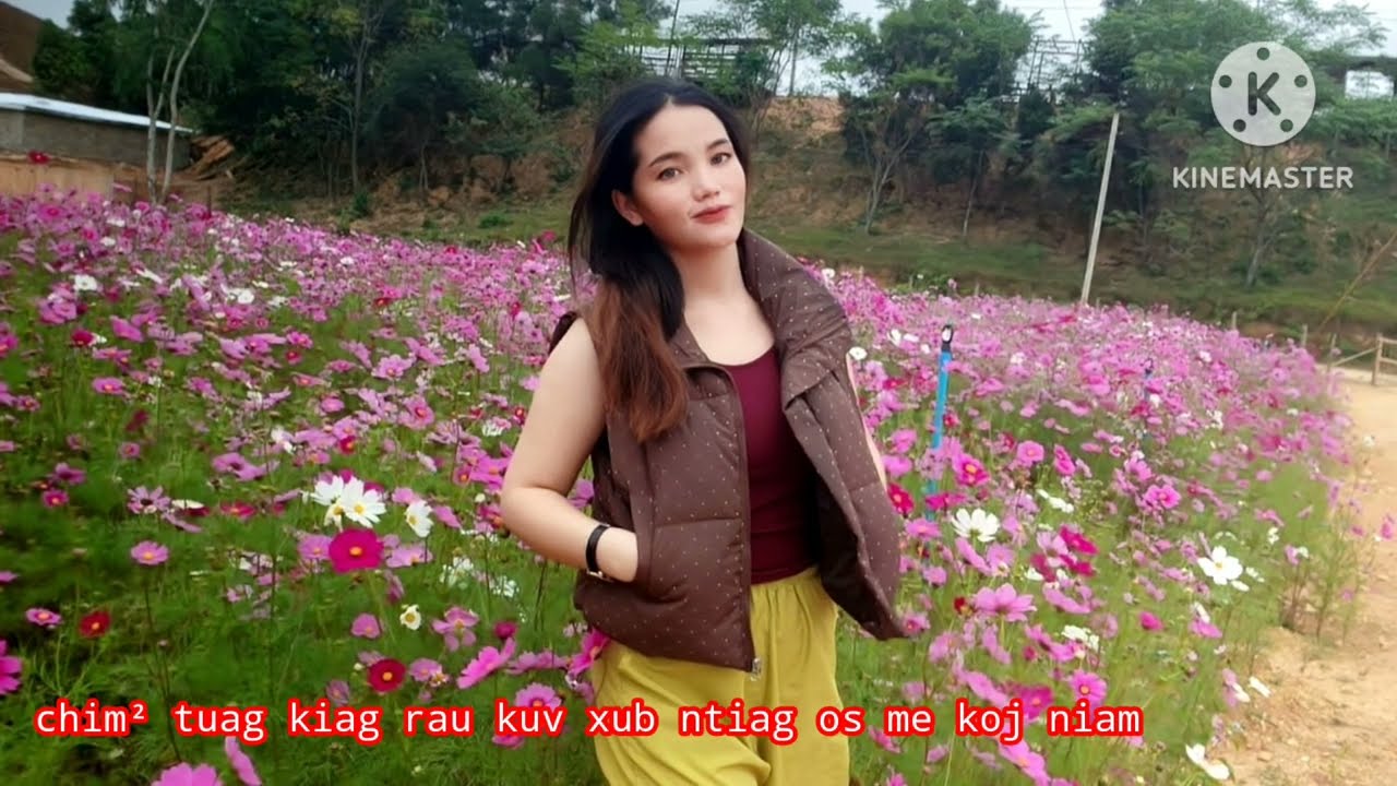 Chim² tuag kiag rau kuv xub ntiag 14/11/2025