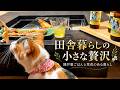 【山の中の一軒家】囲炉裏ごはん中、姉犬の無言の圧力に負けた妹猫が可愛すぎましたw