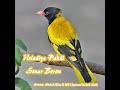 Holudiya Pakhi Sonari Boron (Remastered) Mp3 Song
