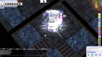 High Wizard MVP Golden Bug [Solo]