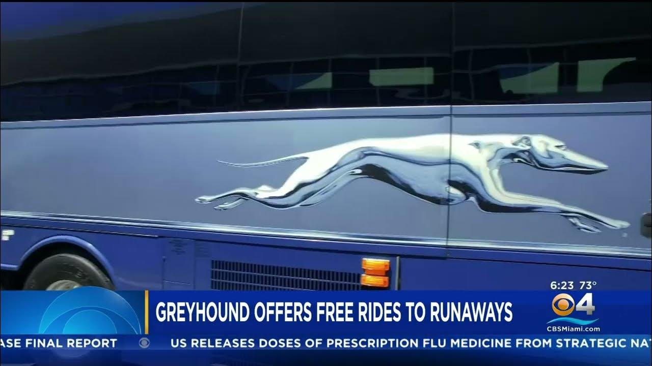 Greyhound's "Home Free" Program Offers Bus Rides For People In Need