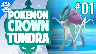THE STORY BEGINS!! | Pokemon Crown Tundra (Episode 1) - Sword and Shield DLC