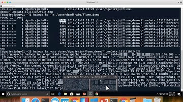 07 Streaming Analytics - Flume - Web Server logs to HDFS -  Customize Sink