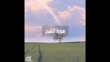 سورة : الشرح القارئ : رعد الكردي