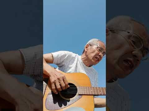 秋桜(cover)　弾き語り　義浩